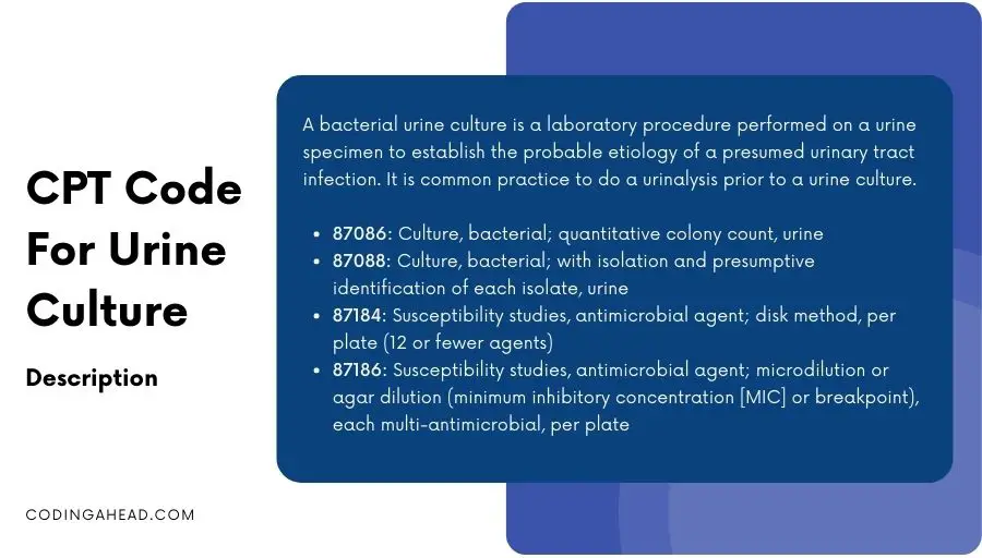 cpt code for urine culture
