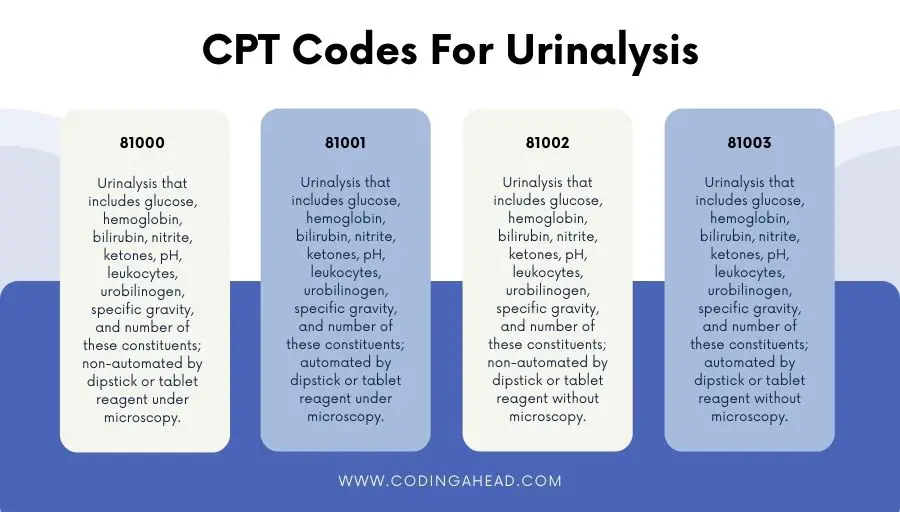 cpt code for urinalysis complete