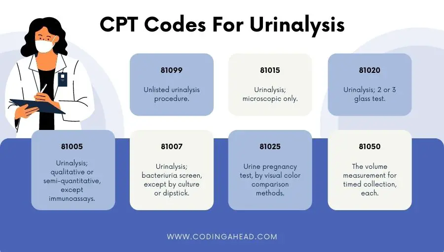 cpt code for urinalysis with culture