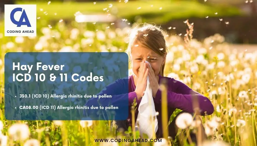 hay fever icd 10