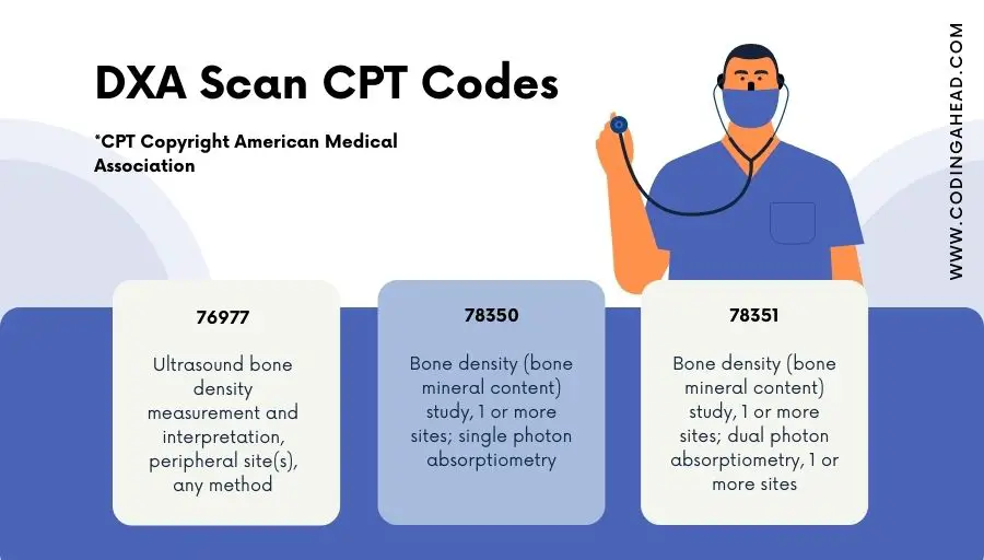 cpt code for bone density dexa scan