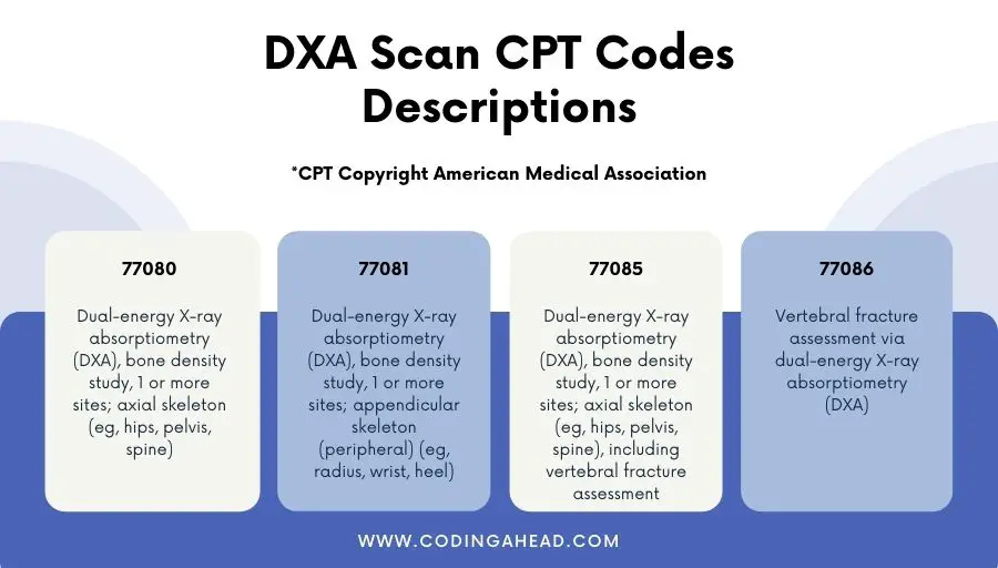 cpt code dexa scan