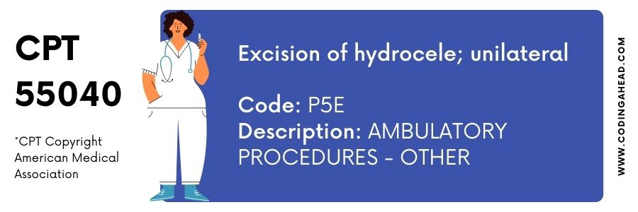 cpt code for hydrocelectomy