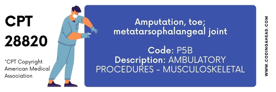 cpt code for amputation of toe