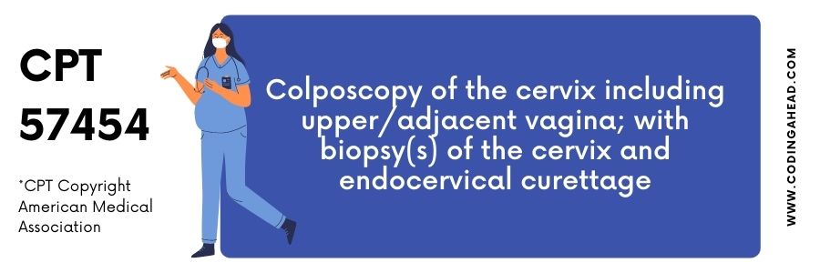 cpt code for endometrial biopsy