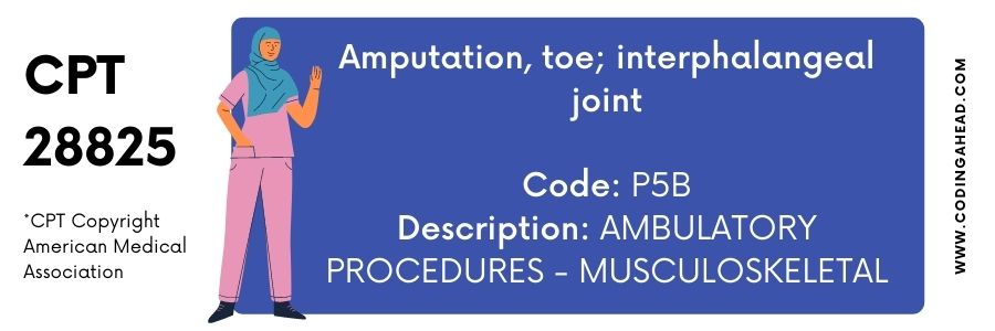 cpt code for toe amputation