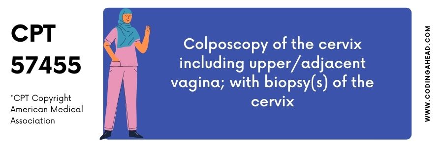 cpt code endometrial biopsy