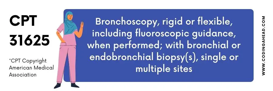 bronchoscopy with bronchoalveolar lavage cpt code