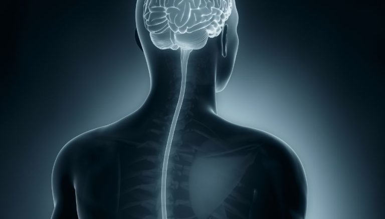 Tuberculosis Unmasked: Brain and Spinal Cord Tuberculomas, Meningoencephalitis, Neuritis, and Polyneuropathy